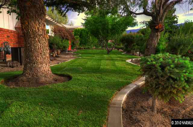 1770 Wren Street Reno, NV 89509 - Photo 2 of 9 a view of a park with large trees