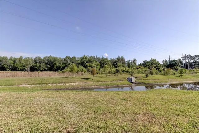 $2,950 | 8341 Wildflower Glen Avenue, Odessa, FL 33556