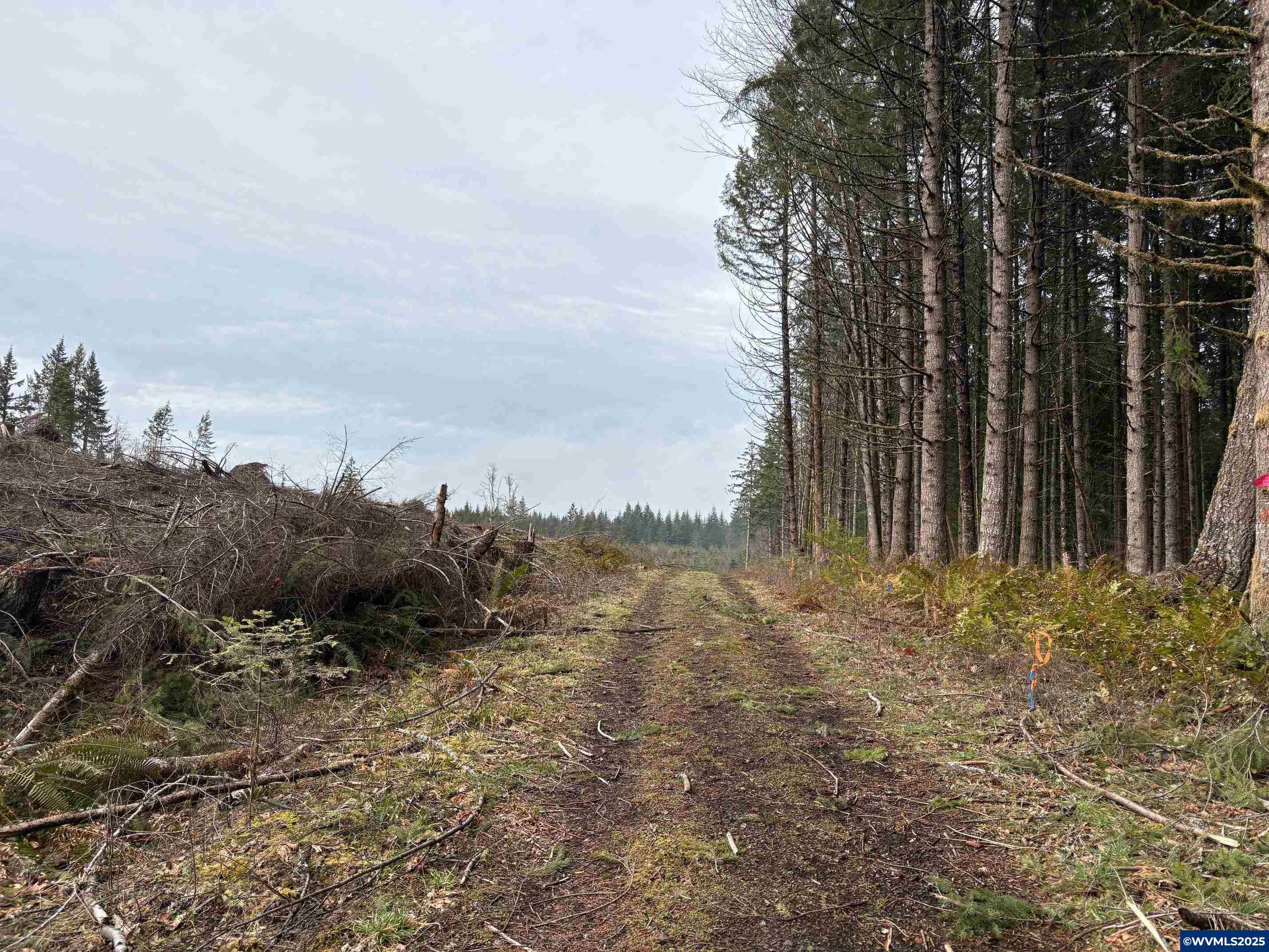 0 South Hardy Road Molalla, OR 97038 - Photo 20 of 26