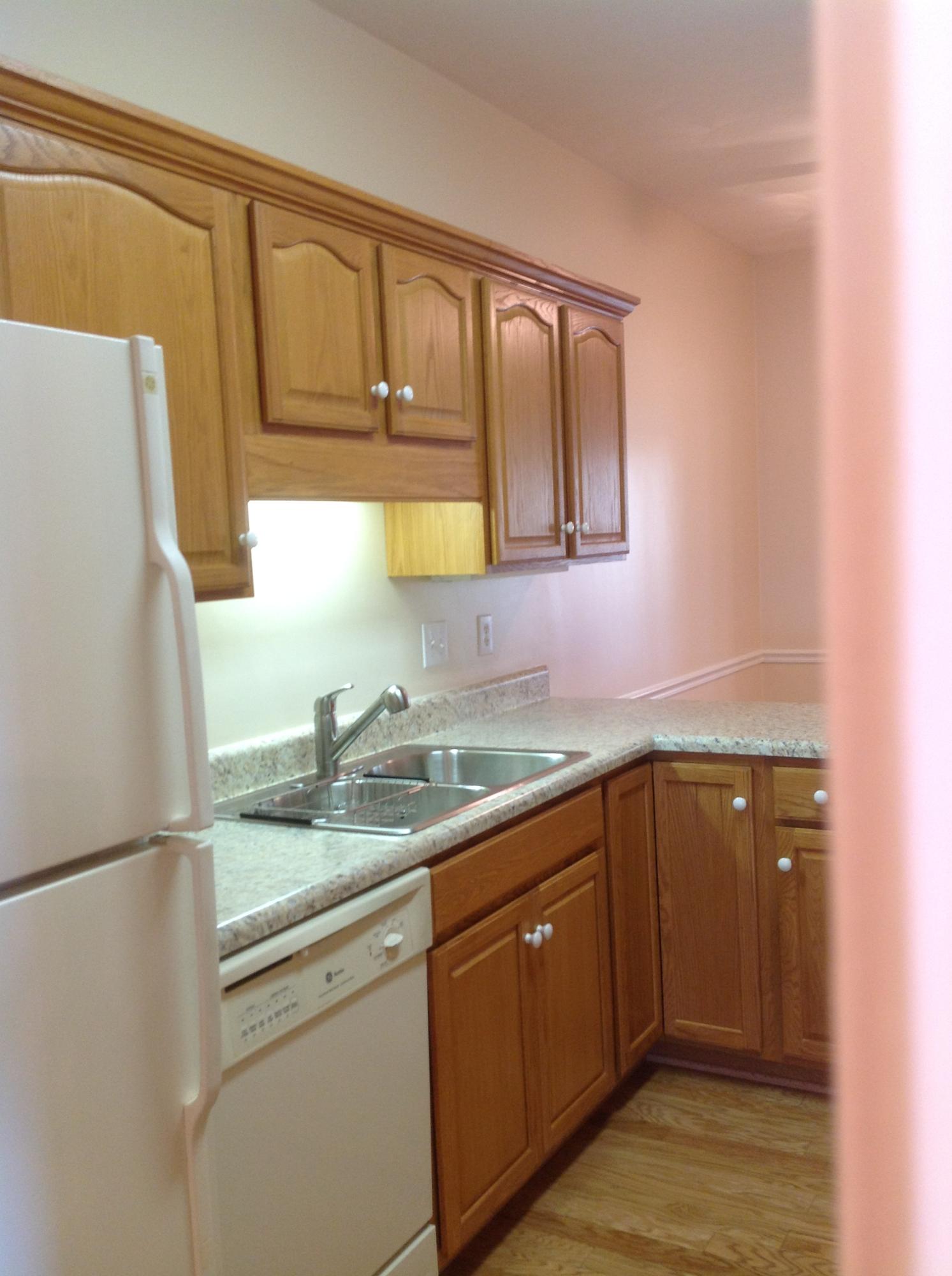 561 Deer Ridge Lane Vinton, VA 24179 - Photo 22 of 30 Kitchen 3
