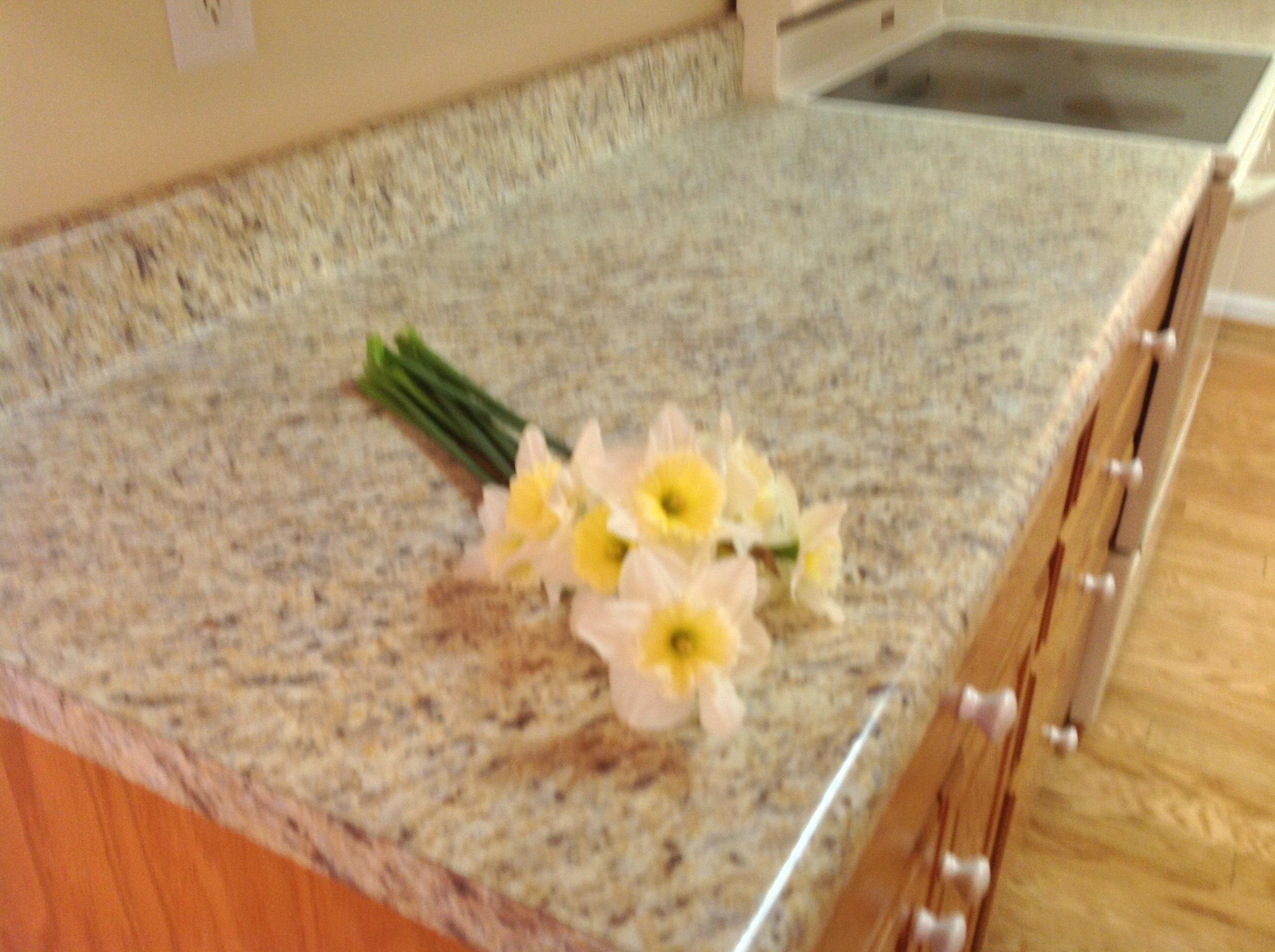 561 Deer Ridge Lane Vinton, VA 24179 - Photo 25 of 30 Kitchen Counters