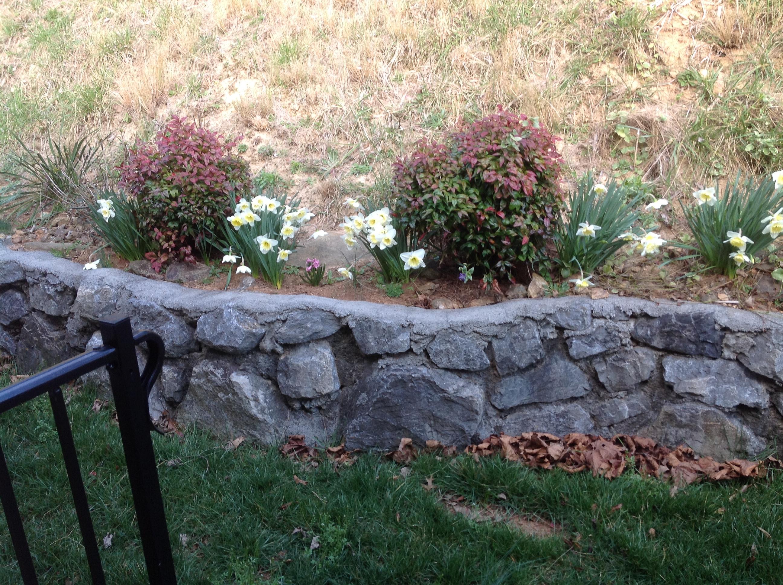 561 Deer Ridge Lane Vinton, VA 24179 - Photo 27 of 30 Landscaping 2