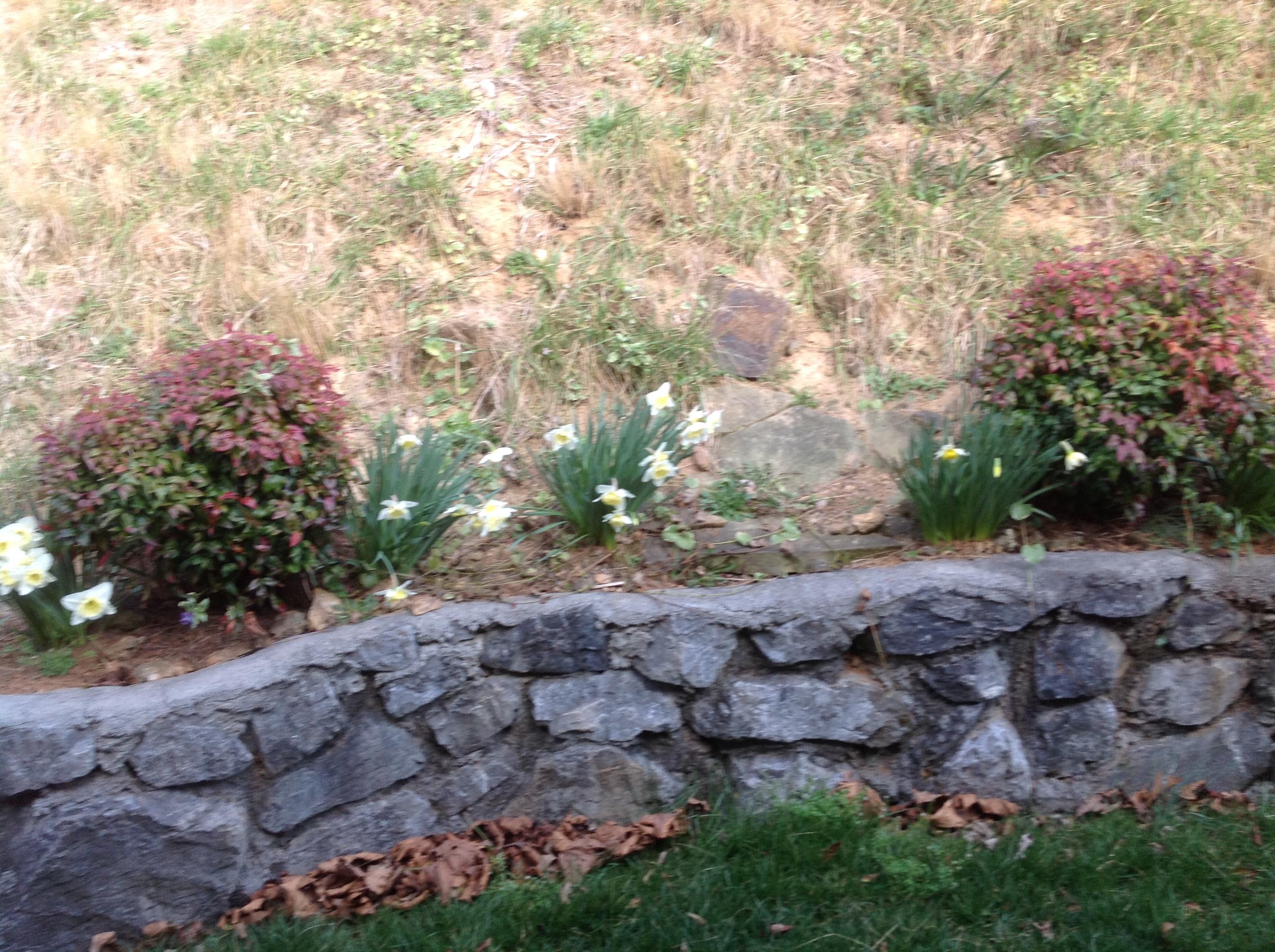 561 Deer Ridge Lane Vinton, VA 24179 - Photo 28 of 30 Landscaping