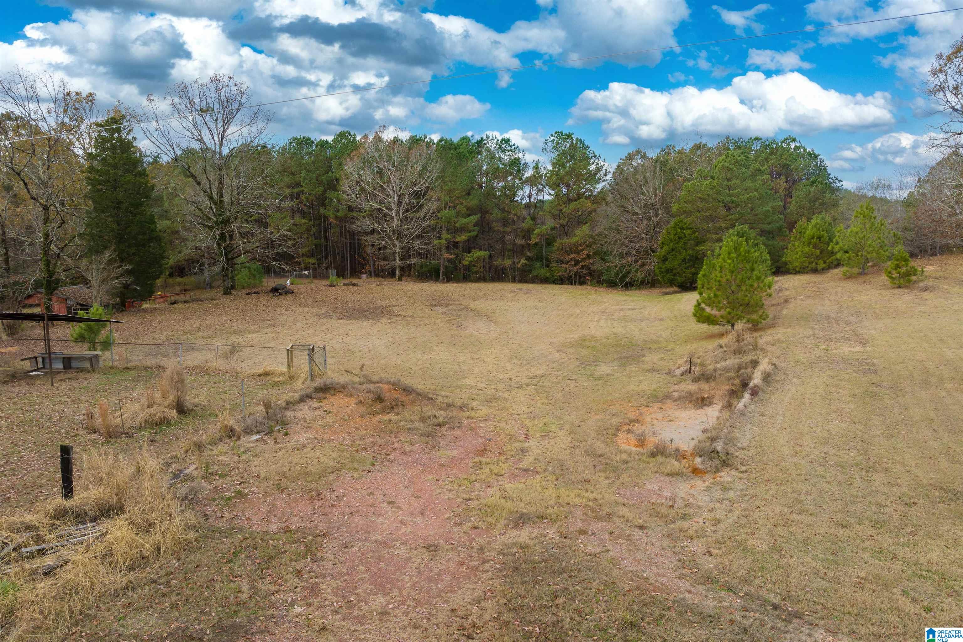 2930 Pridmore Road Quinton, AL 35130 - Photo 40 of 46