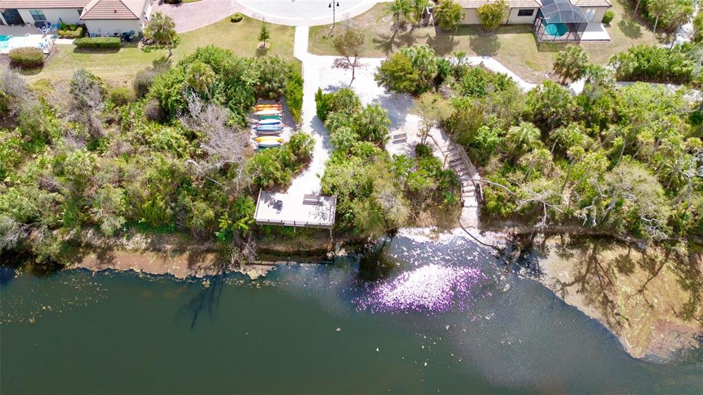 7608 Rio Bella Place Bradenton, FL 34201 - Photo 48 of 49