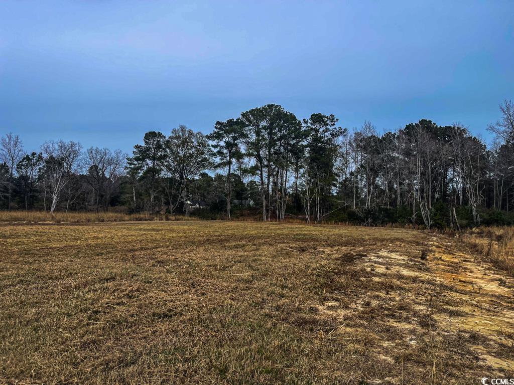 Lot 7 Rena Lane Conway, SC 29527 - Photo 5 of 8 View of wooded area
