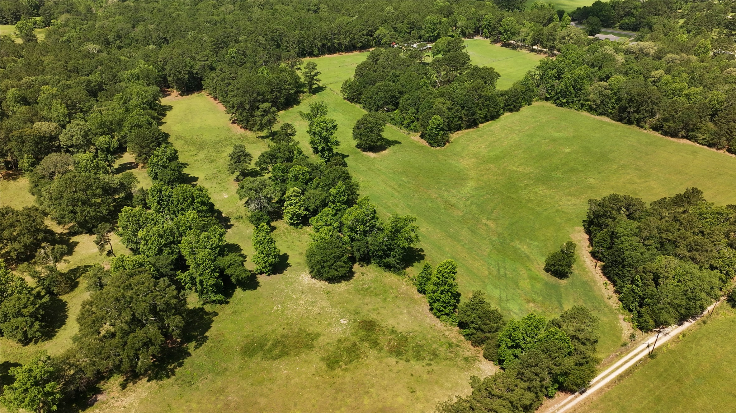 162 Lloyd James Road Groveton, TX 75845 - Photo 19 of 41