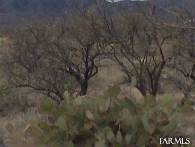 0 West McGee Ranch Road South Sahuarita, AZ 85629 - Photo 5 of 5