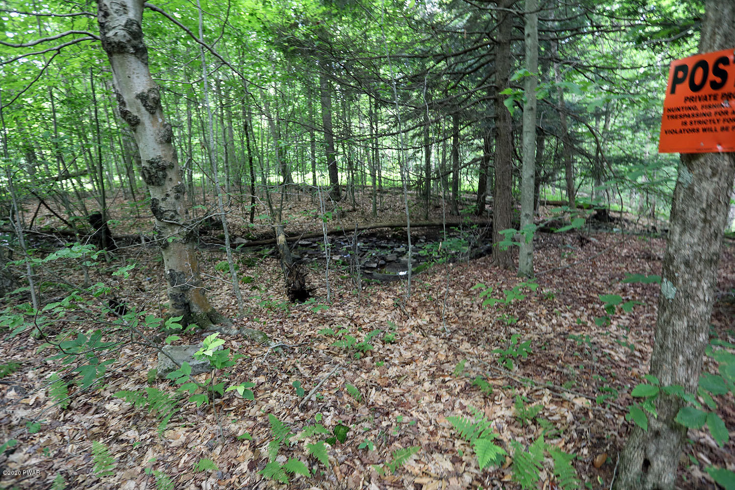 0 Minckler Mountain Road Equinunk, PA 18417 - Photo 16 of 39