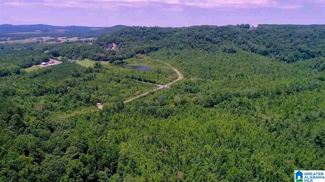 0 Mountain Gap Road, Unit 27 ACRES Cleveland, AL 35049 - Photo 5 of 7
