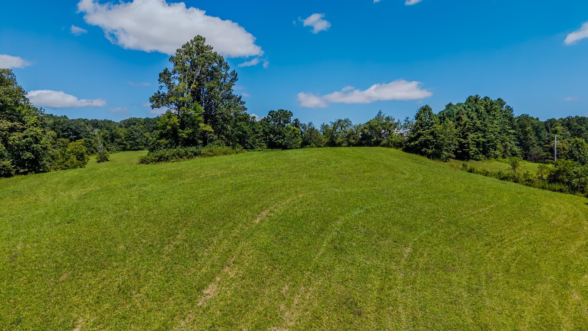 Tbd Free Union Road Meadows Of Dan, VA 24120 - Photo 5 of 21 Gallery Image 5