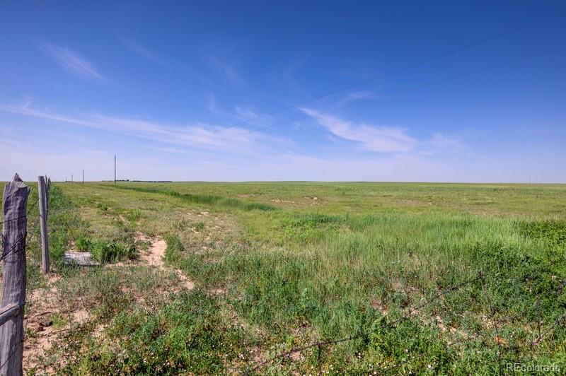 37675 Fossinger Road Rush, CO 80833 - Photo 21 of 23 Gallery Image 21