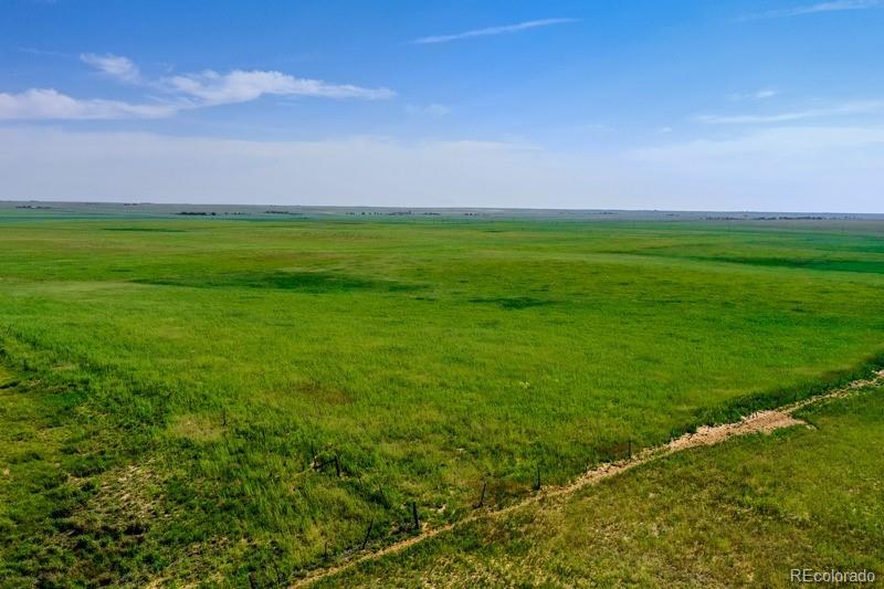 37675 Fossinger Road Rush, CO 80833 - Photo 8 of 23 Gallery Image 8