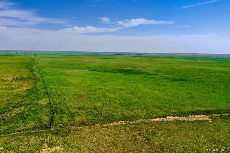 37675 Fossinger Road Rush, CO 80833 - Photo 9 of 23 Gallery Image 9