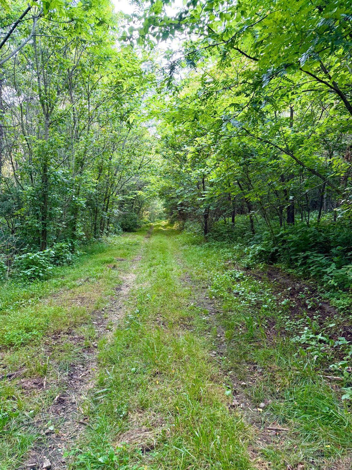 0 North Falls Road Bainbridge, OH 45612 - Photo 88 of 99