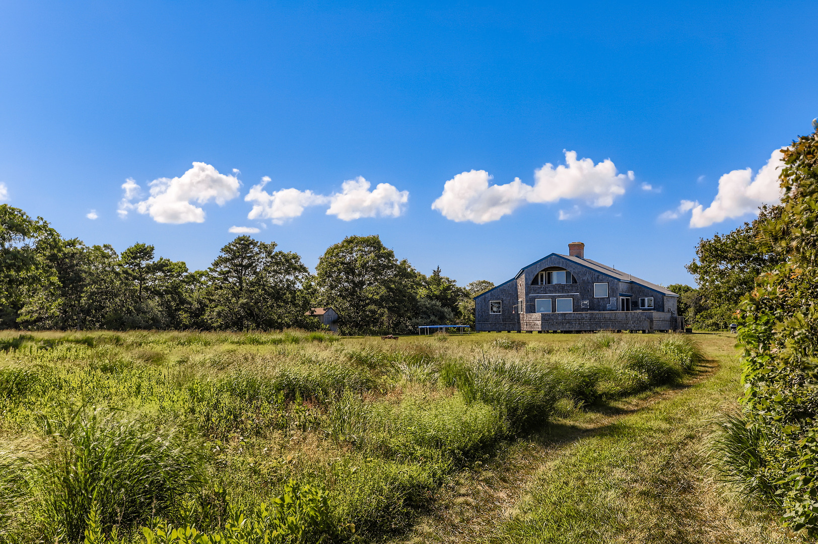 38 Black Point Road Chilmark, MA 02535 - Photo 22 of 38 a view of a big yard with potted plants and large tree