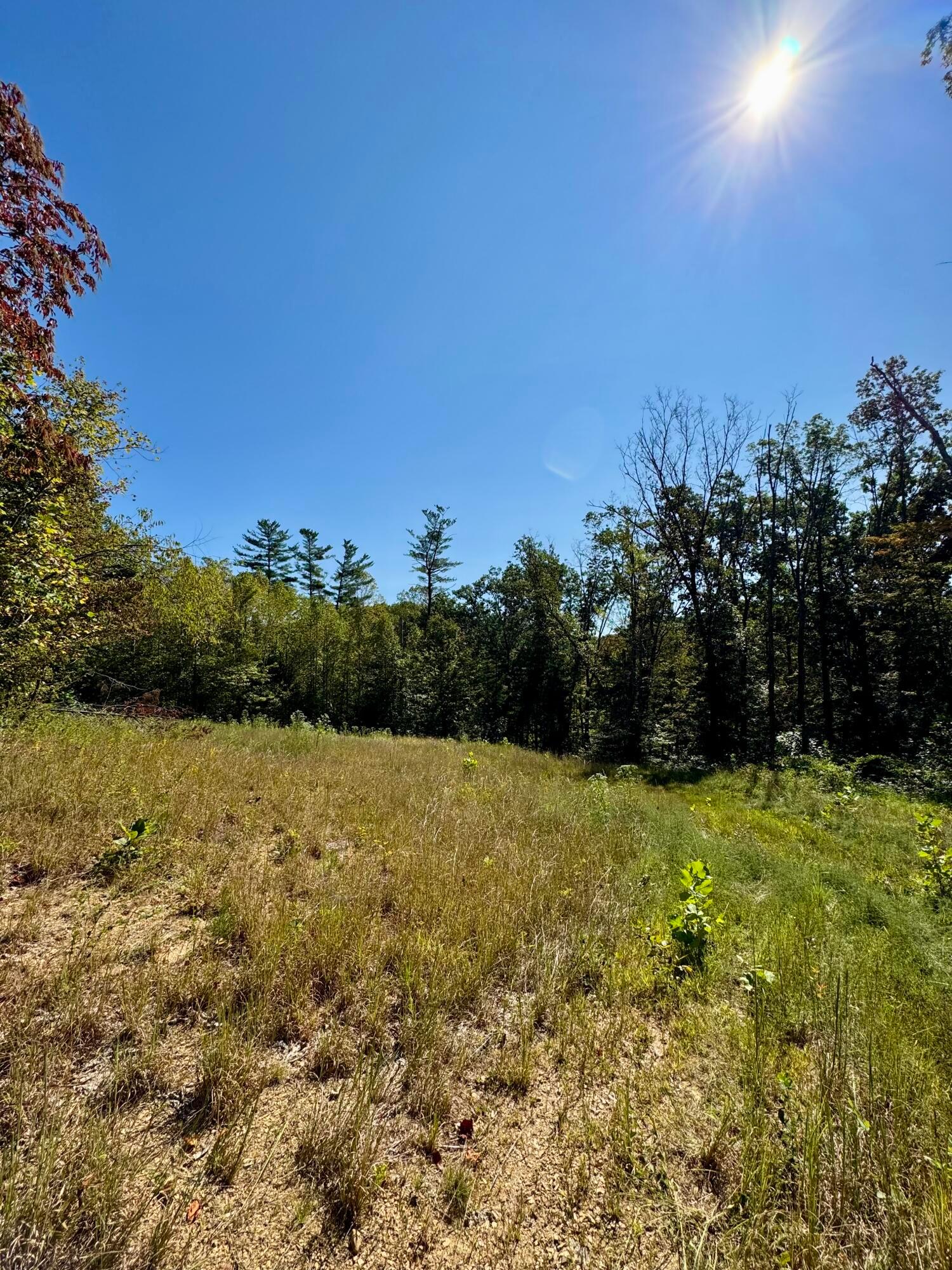 26501 Sowers Road McArthur, OH 45651 - Photo 17 of 64 camping and/or building spots throughout
