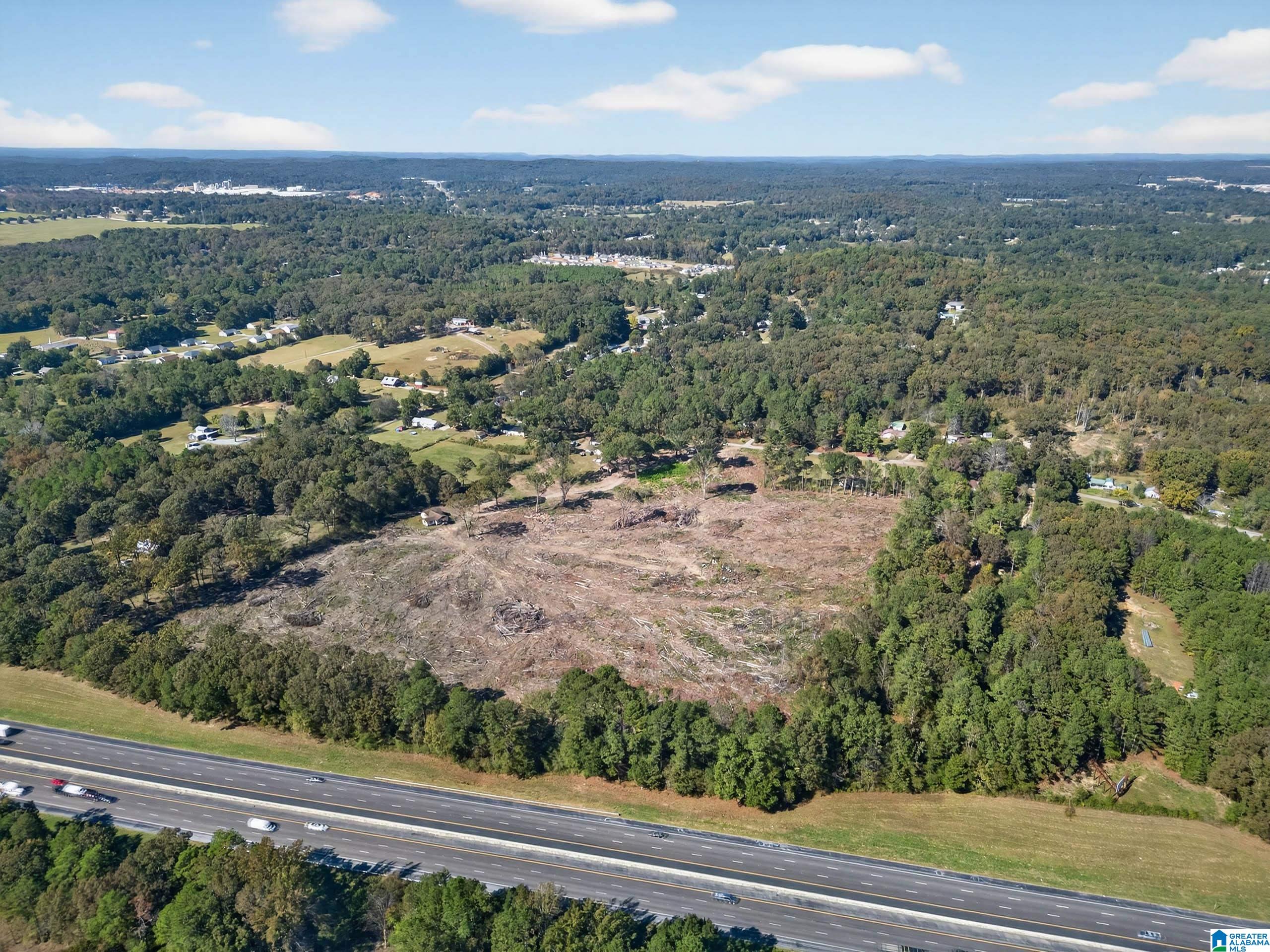 675 County Line Road West Eastaboga, AL 36260 - Photo 2 of 10