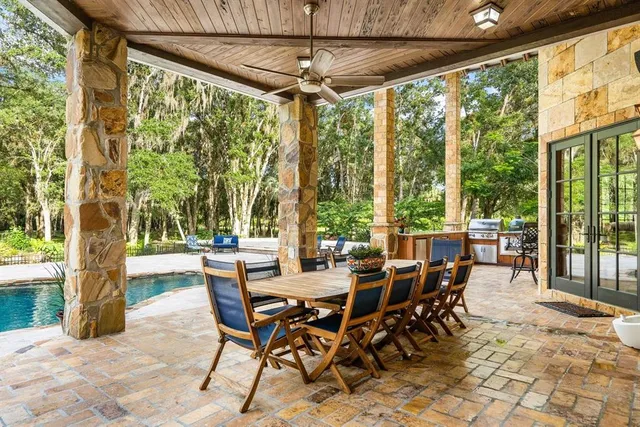 a view of a trees in a yard