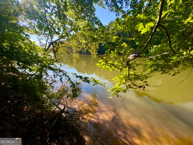 a view of a lake with a tree