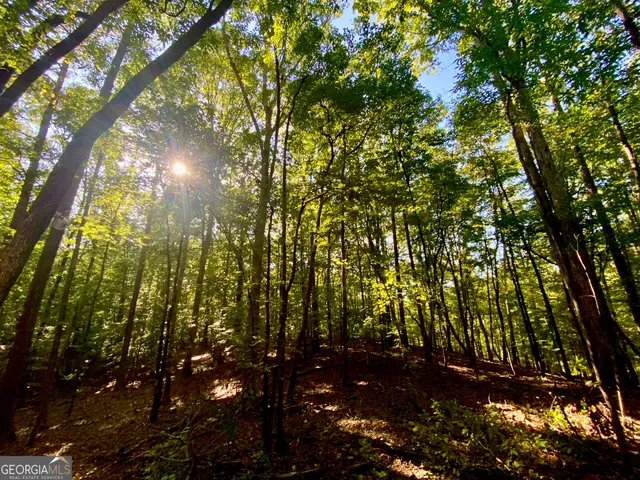 a backyard of a house