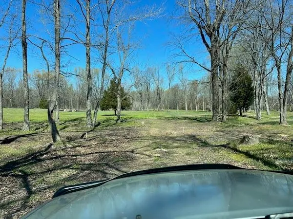 a view of a park with large trees