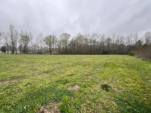 a view of a field with trees in the background