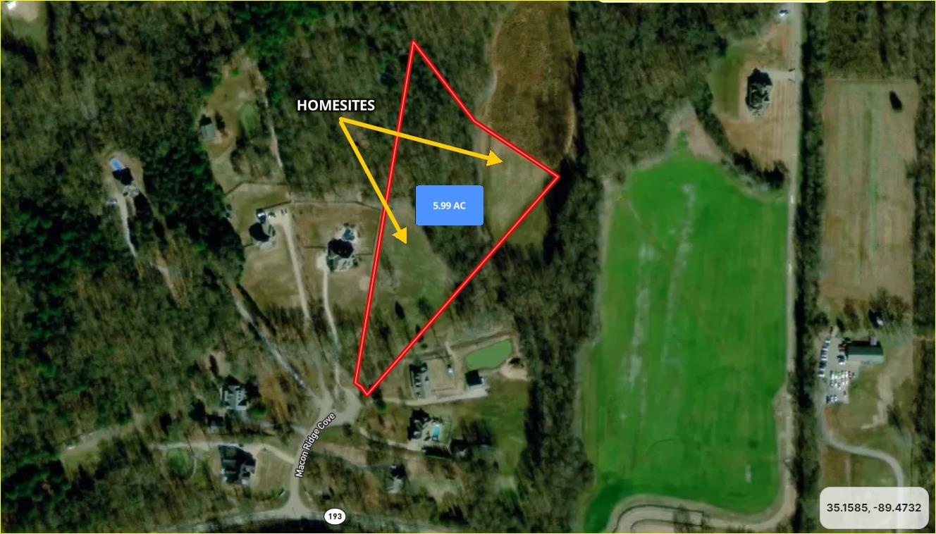 80 Macon Ridge Cove Williston, TN 38076 - Photo 4 of 5 a view of an entryway