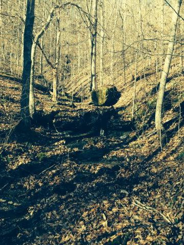 0 Anglin Falls Road Mount Vernon, KY 40456 - Photo 1 of 5 Photo 1