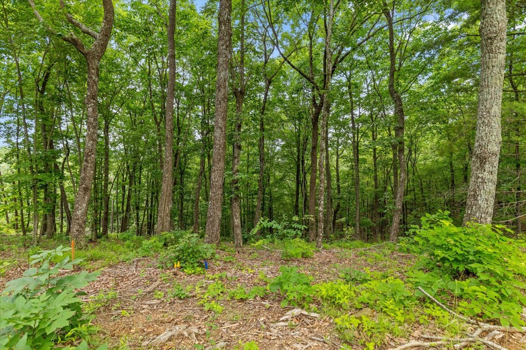 Lot 414 Calloway Mountain Road Talking Rock, GA 30175 - Photo 6 of 25