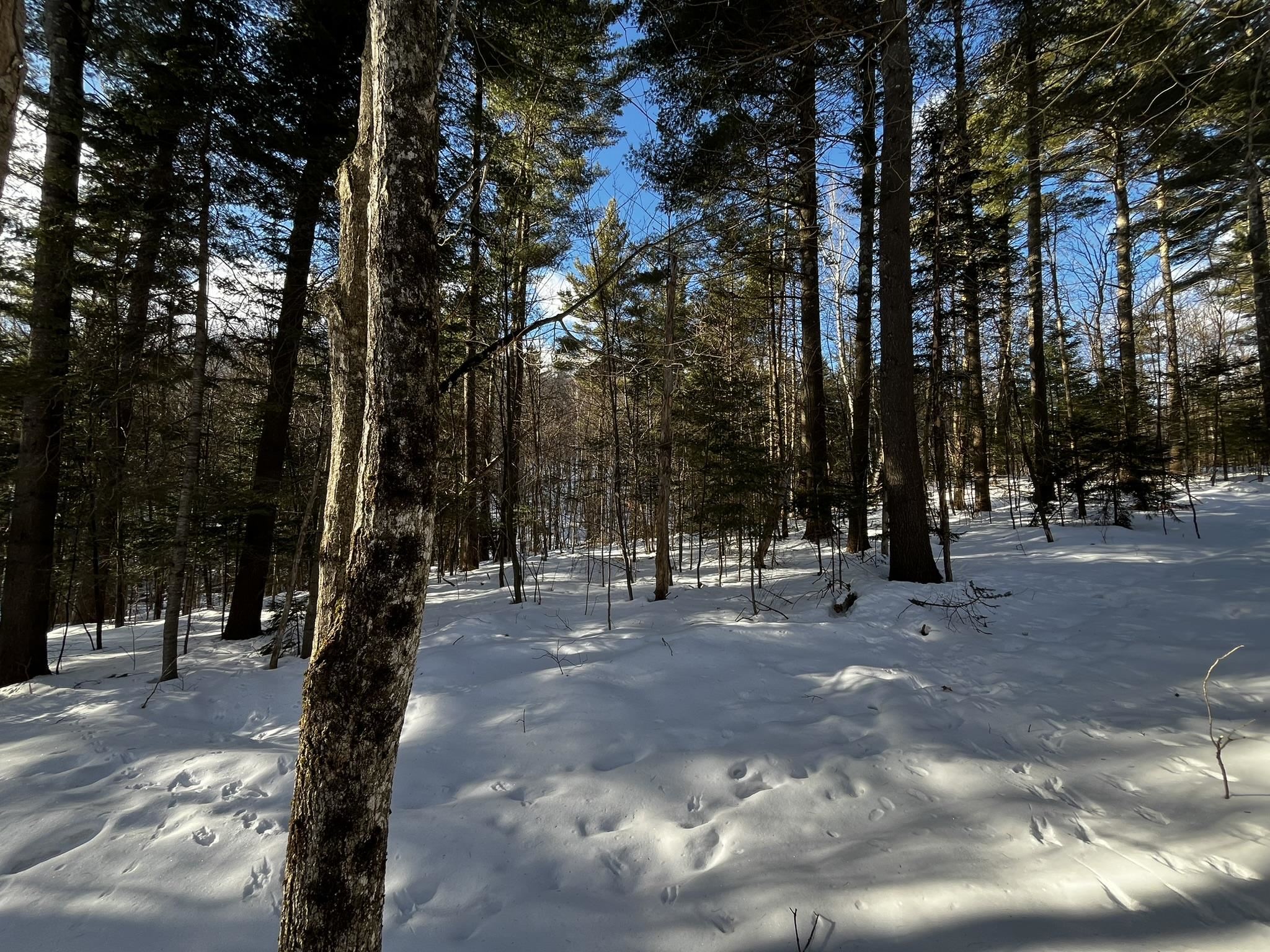 0 Cassidy Farm Road, Unit 1 Warren, VT 05674 - Photo 14 of 16