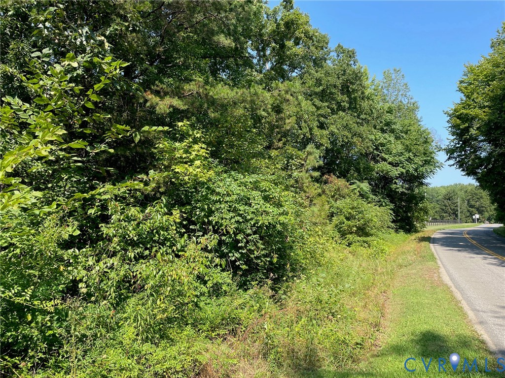 16081 Beaverdam School Road Beaverdam, VA 23015 - Photo 3 of 7