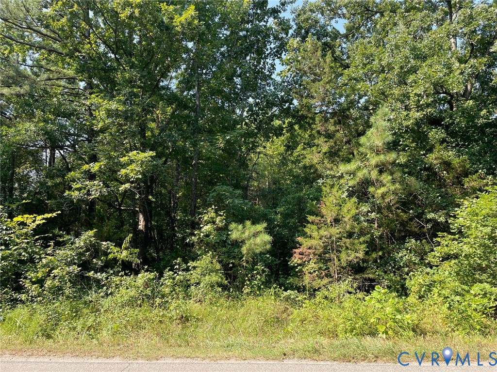 16081 Beaverdam School Road Beaverdam, VA 23015 - Photo 6 of 7