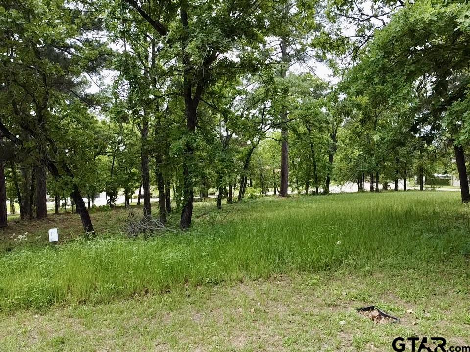 4458 Couples Court Tyler, TX 75709 - Photo 3 of 10 a huge green field with lots of trees