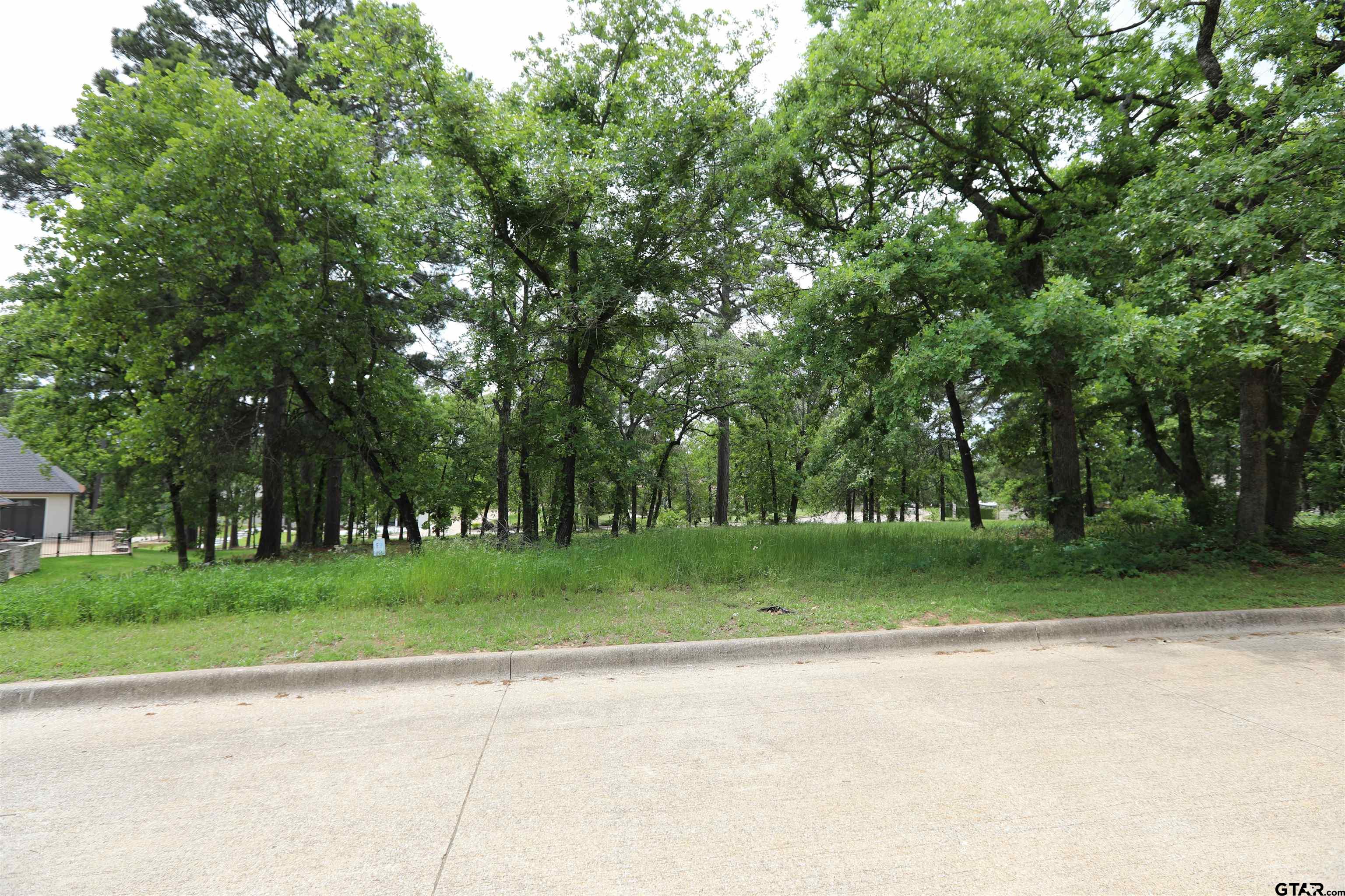 4458 Couples Court Tyler, TX 75709 - Photo 4 of 10 a view of a park