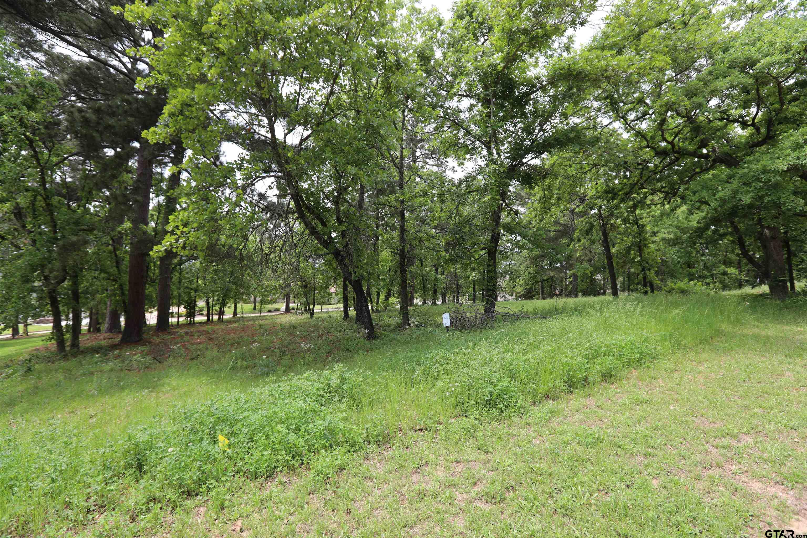 4458 Couples Court Tyler, TX 75709 - Photo 5 of 10 a view of a tree in a yard