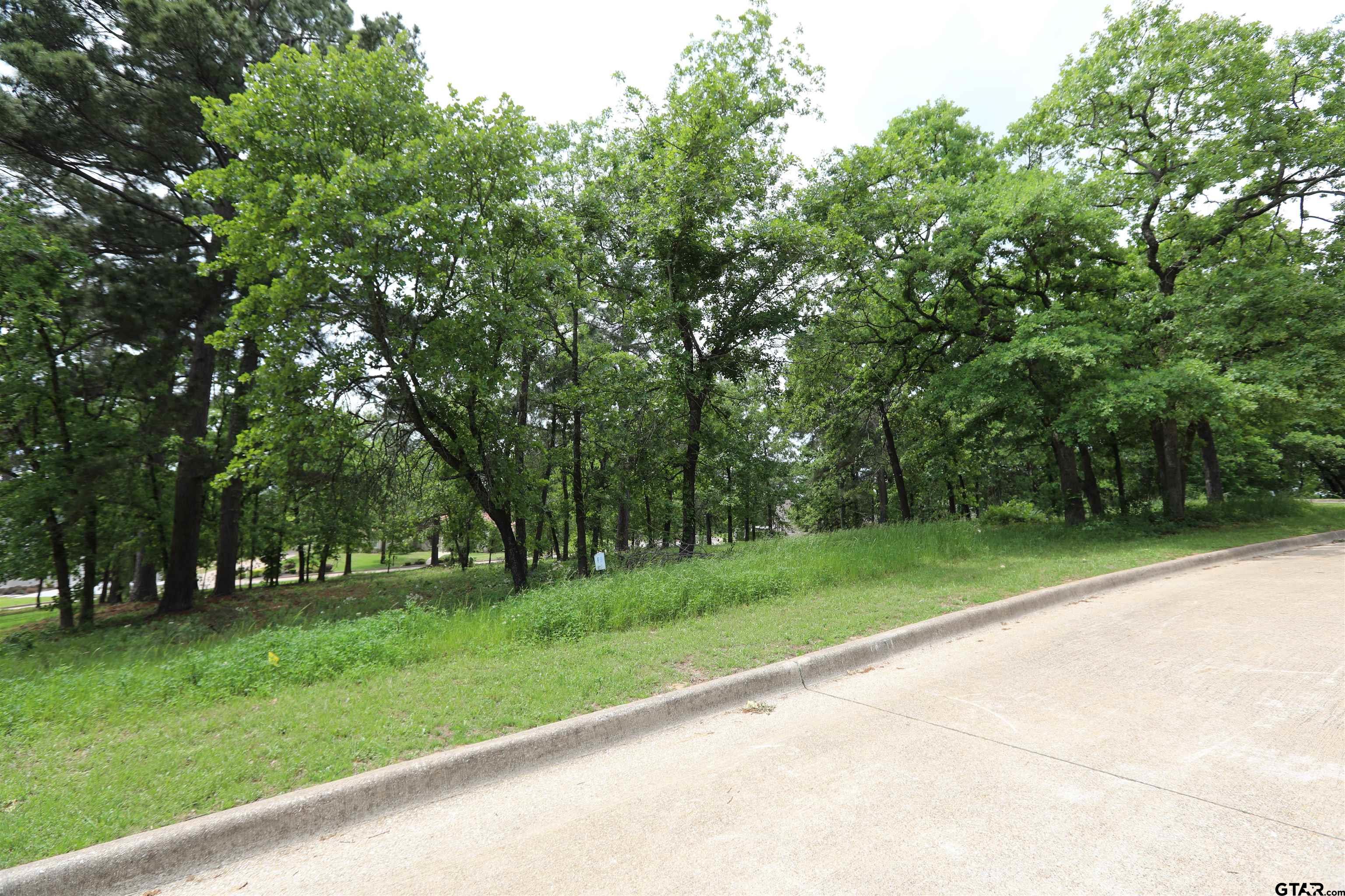 4458 Couples Court Tyler, TX 75709 - Photo 6 of 10 a view of a park with large trees