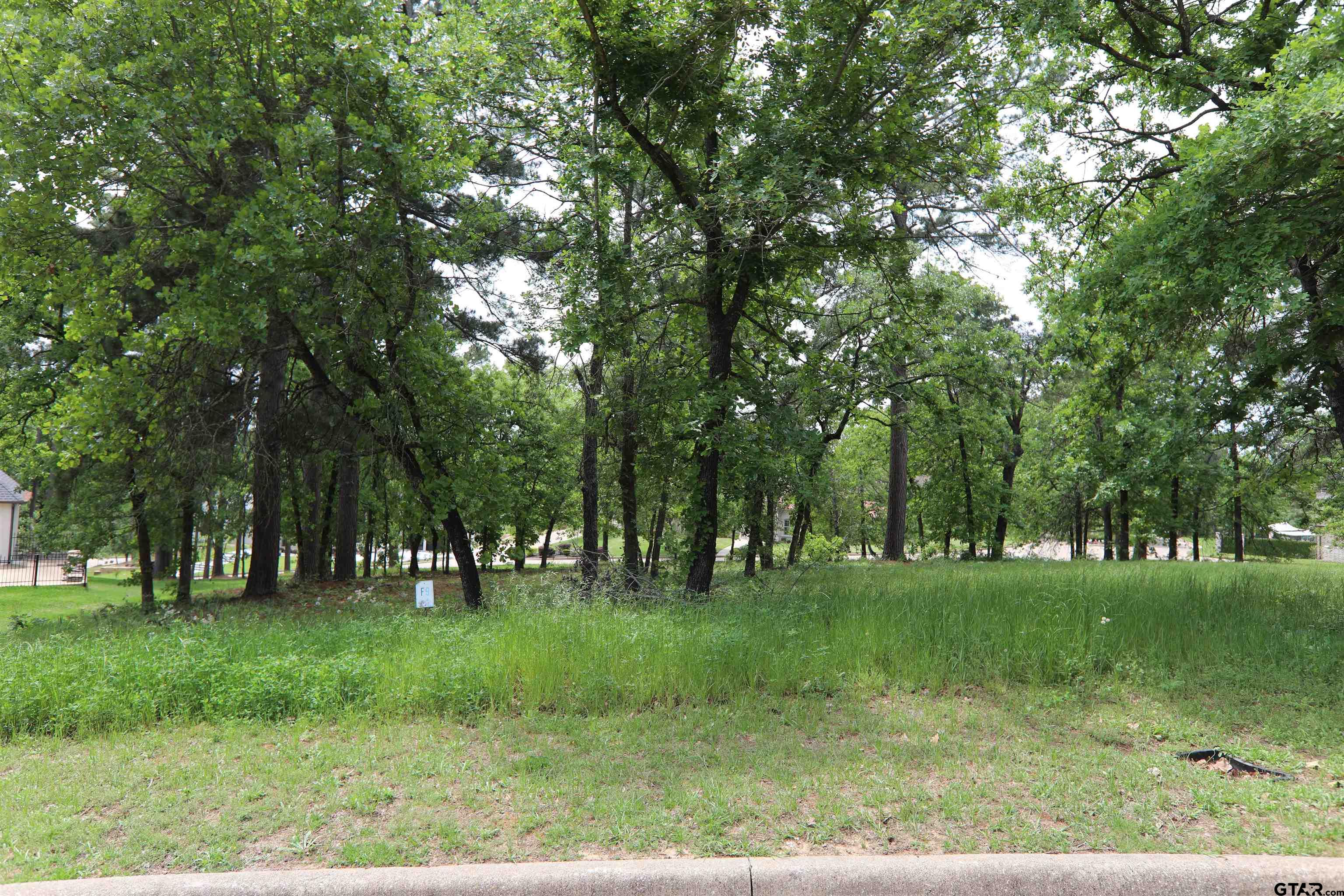 4458 Couples Court Tyler, TX 75709 - Photo 7 of 10 a view of a park with large trees