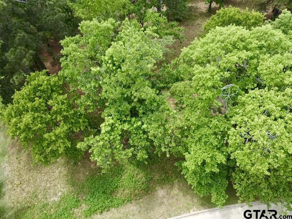 4458 Couples Court Tyler, TX 75709 - Photo 8 of 10 a view of a lush green forest