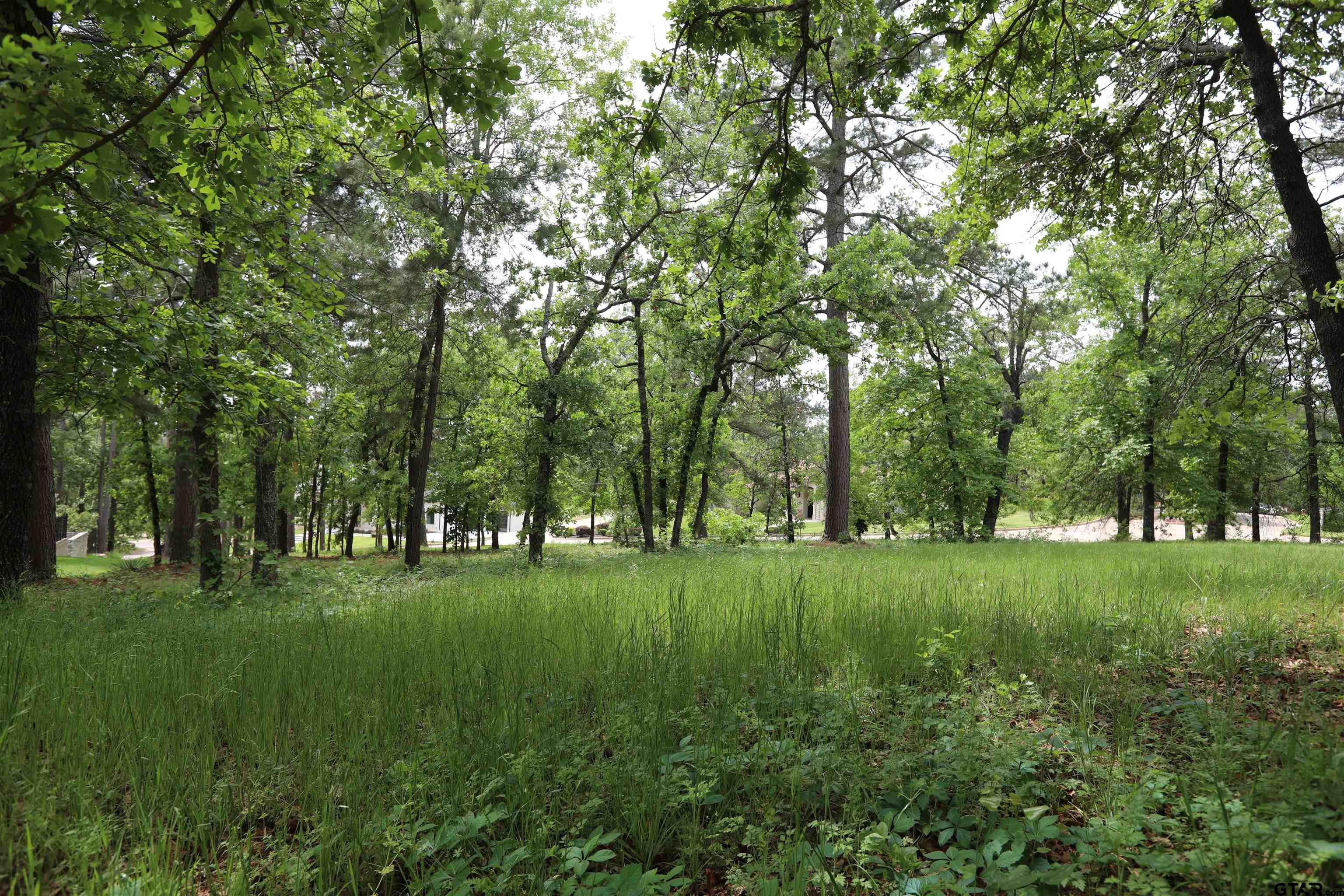 4458 Couples Court Tyler, TX 75709 - Photo 9 of 10 a view of a grassy field with trees