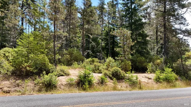 a view of a yard with plants