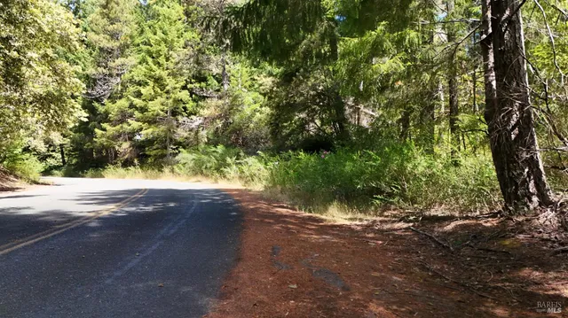 a view of a yard with a tree