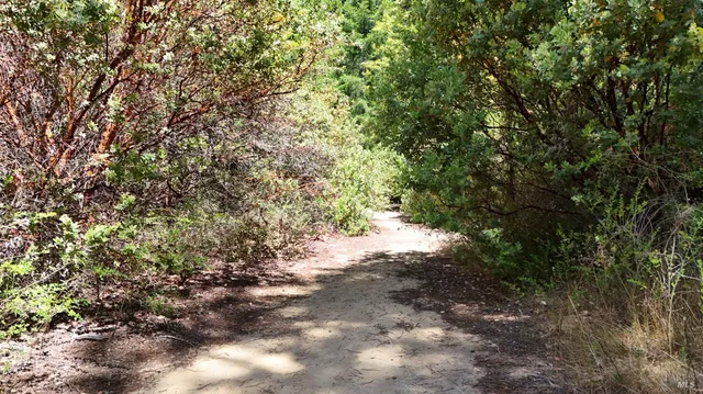 a view of a city with lush green forest