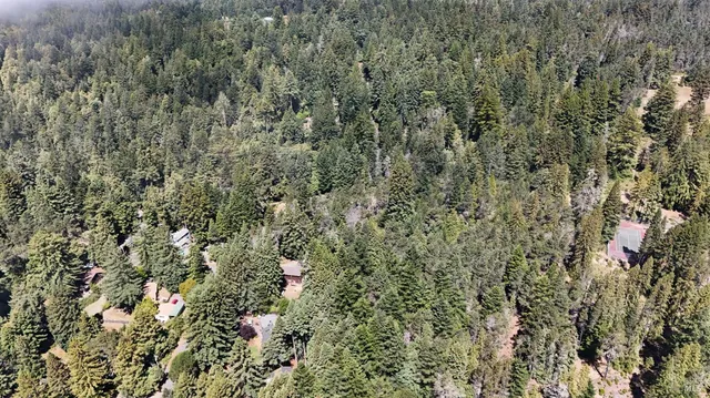 a view of a city with lush green forest