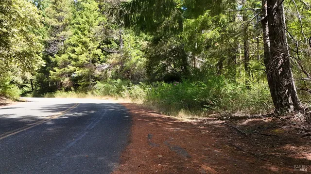 a view of a yard with a tree
