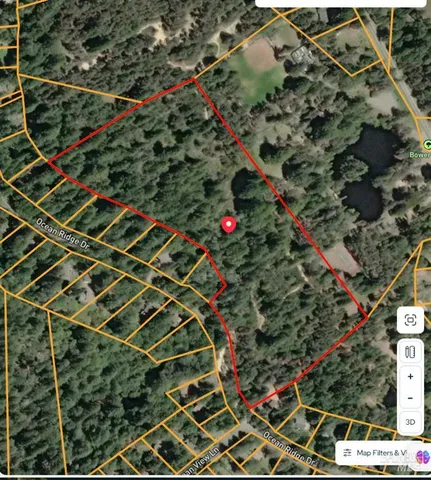 a backyard of a house with a tree