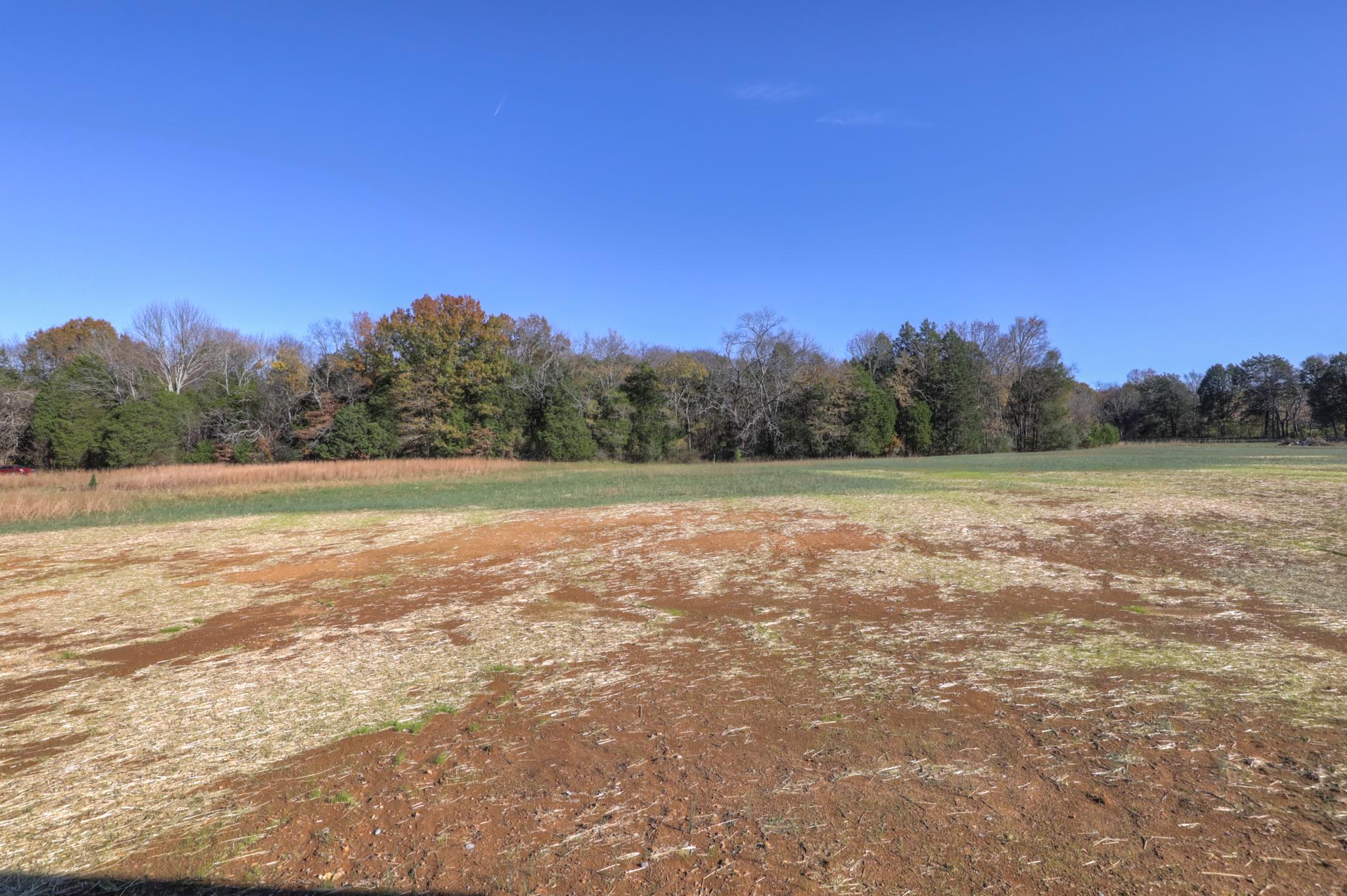 2231 Cairo Bend Road Lebanon, TN 37087 - Photo 28 of 29 a view of a field with trees in the background