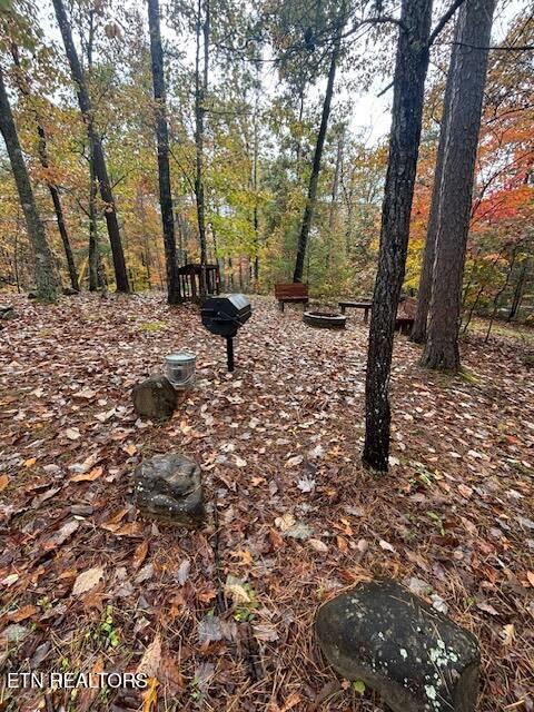 2308 Hidden Mountain Road Sevierville, TN 37876 - Photo 5 of 8 Gathering Area