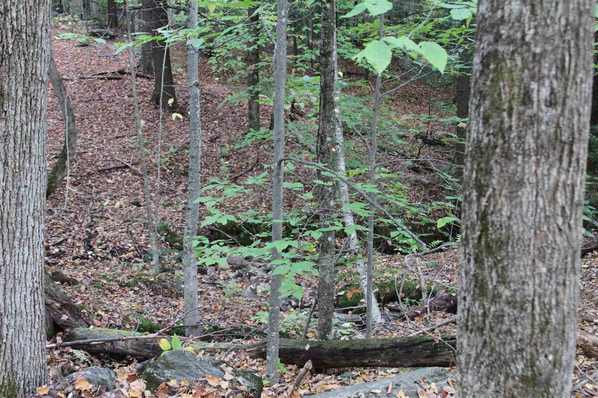316 Dunbar Hill Road Moretown, VT 05660 - Photo 2 of 4