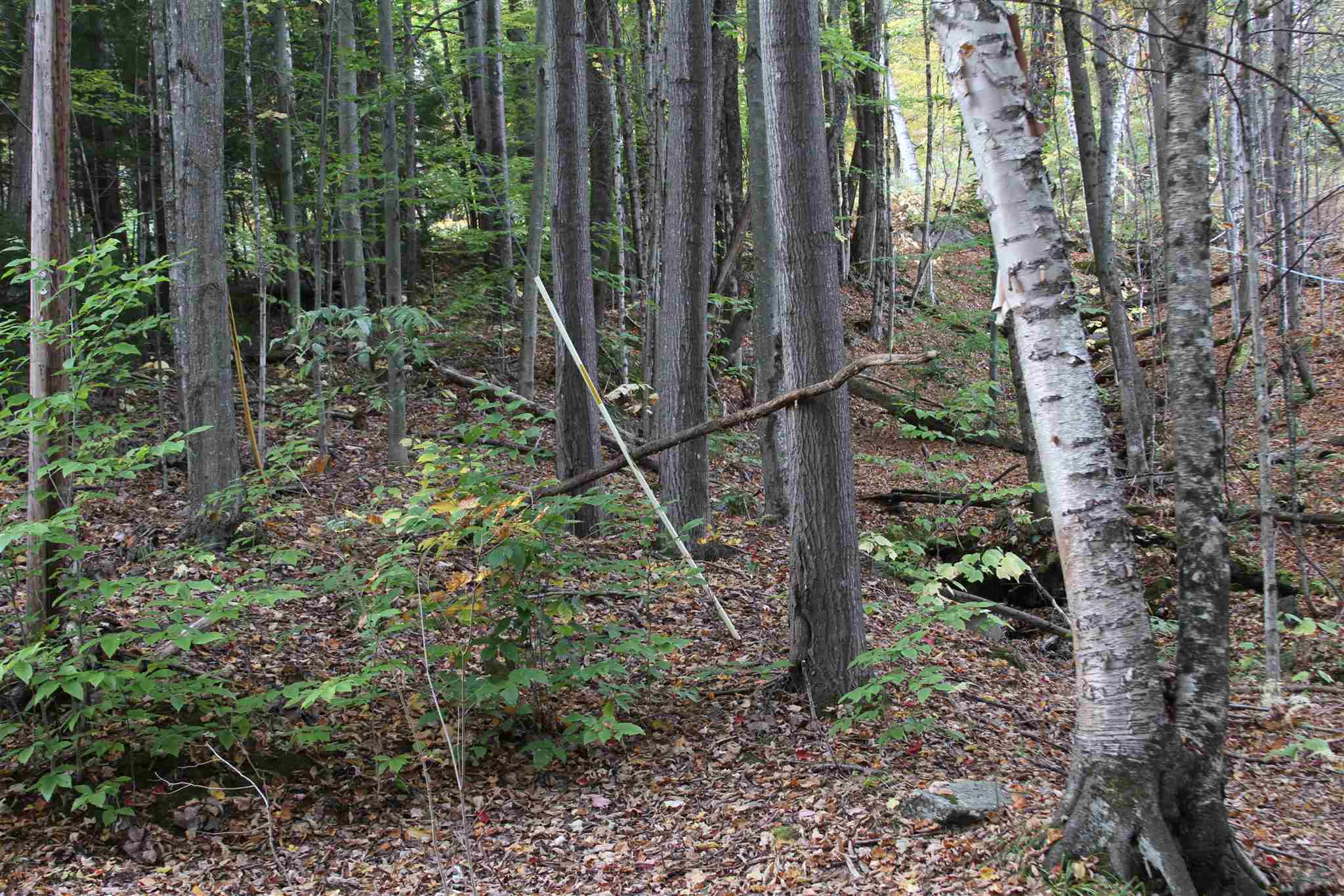 316 Dunbar Hill Road Moretown, VT 05660 - Photo 4 of 4